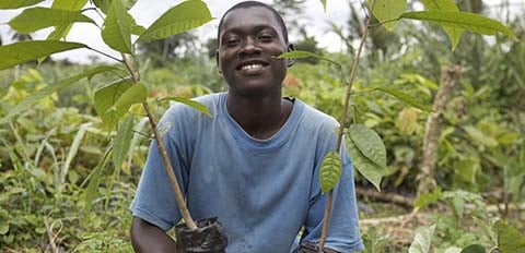 Le plan Nestlé pour le cacao